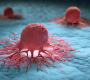 CANCERDEMAMA3 90x80